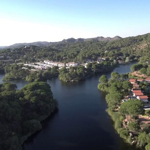 838c1f4a-ff68-11ef-9d44-0242ac110002-jpg-hero_image