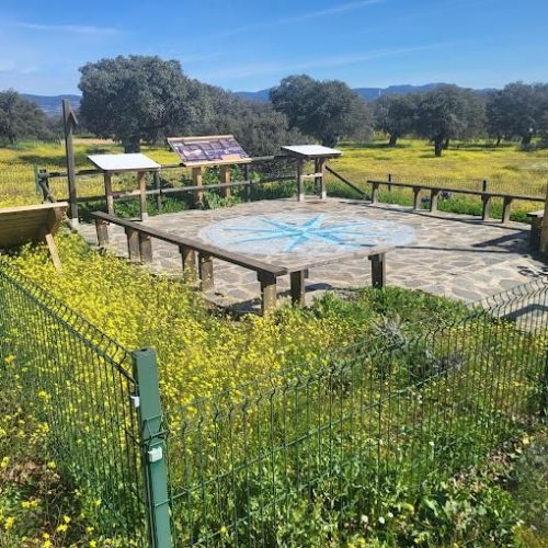 b779b809-8d6e-11f0-bb35-0242ac110002-jpg-hero_image